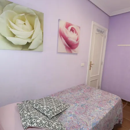 Let's Go To The El Médano